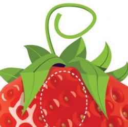 Вы знаете, что изображение обрабатывается человеческим сознанием в 60 тыс. раз быстрее, чем текст?