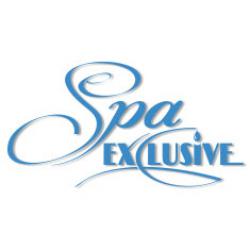Разработка логотипа для компании Spa exclusive